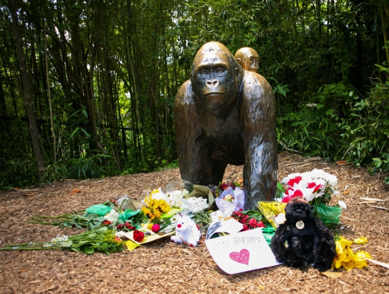 Flowers lay around a bronze statue of a gorilla and her baby outside the Cincinnati Zoo's Gorilla World exhibit, two days after a boy tumbled into its moat and officials were forced to kill Harambe, a Western lowland gorilla, in Cincinnati, Ohio, U.S. May 30, 2016.