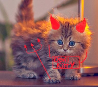 Devil Kitty