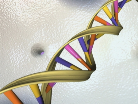A DNA double helix is seen in an undated artist's illustration released by the National Human Genome Research Institute to Reuters on May 15, 2012.&nbsp;