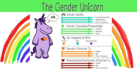 Image result for images of gender unicorn