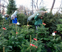 All Restrictions on Celebrating Christmas in Public Schools Lifted By Missouri, Lawmakers Override Gov.'s Veto