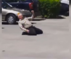 You Won't Believe Why This Popular Park Ranger Was Fired From His Job (VIDEO)