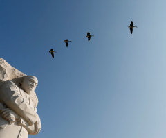 Martin Luther King Jr. Day: 5 Things You Should Know
