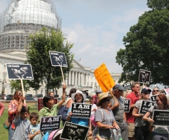 Senate Fails to Pass 20-Week Abortion Ban