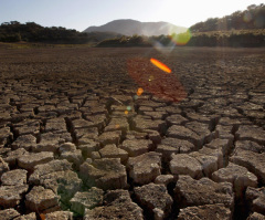 Choosing Wisely or Foolishly at Global Climate Conference