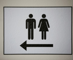 Transgender Students Must Use Bathrooms of Birth Sex, Says Florida School District