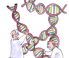 Playing God With Test-Tube Embryos