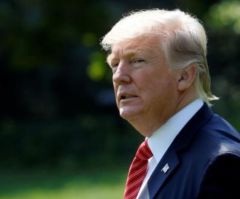 Trump Blocking Critics on Twitter Violates First Amendment, Professors Claim