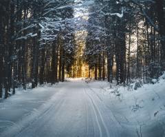 Peaceful Living Comes From Knowing the Season God has for You