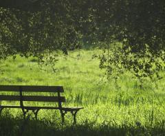 The Importance of Distinguishing Ungodly Voices From the Voice of God