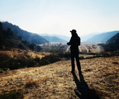The Dominion and Stewardship of Humanity Over God's Creation