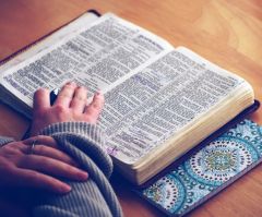 Bibles for the World Helping People Read the Bible in 1 Year With New Book, Radio Program