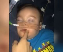 Pope Taking First Steps to Save Alfie Evans, May Transfer Toddler to Italian Hospital