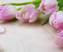 An Unlikely Motherhood Story