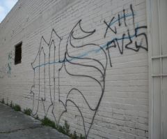 Trump Was Right in Referring to MS-13 as Animals