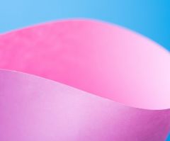 New Discovery Reveals Bright Pink Is the World's Oldest Color, Scientists Say