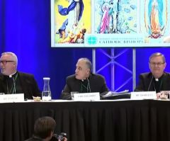 'How will we explain this?' US bishops shocked, disappointed as Pope Francis bars action on sex abuse