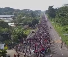 Caravan supporters disgrace legal immigrants and endanger fellow citizens