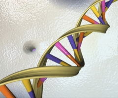 Genetics disproves Adam and Eve? Not so fast