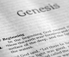John MacArthur blames the woman, just like Adam did