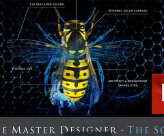 God, the Master Designer of life