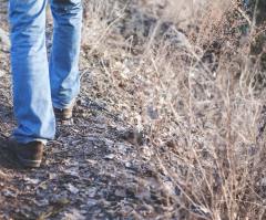 How to feel more in control: Advice from experts and God’s first commission to the first man