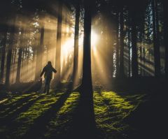 You can buy your own village: The reason we retreat