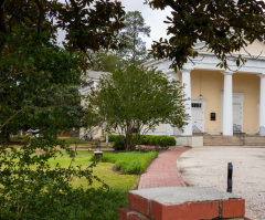 Endless charm and all things equestrian in Aiken