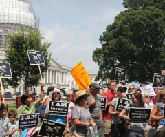 Higher share of unintended pregnancies are aborted in blue states than red, data suggests