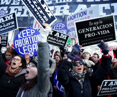 Most Americans want Roe upheld but over half favor 15-week abortion ban, polls suggest