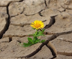 The good news about Jesus is believable