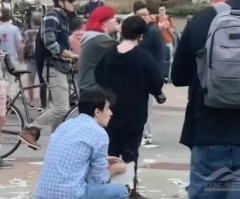 Student's Bible torn to shreds by activists protesting Matt Walsh's 'What is a Woman' screening