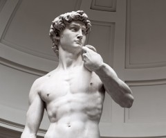 Should David be the standard bearer for a fallen leader's restoration?