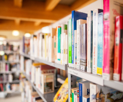 Librarians struggling to cope with patrons’ rampant drug use, violence and public sex acts