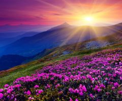 Does atheism usher in utopia?