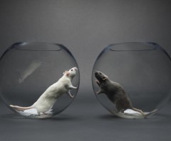 There's need for balance in the race relations conversation