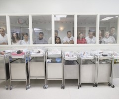 A new kind of 'Roe Effect' has appeared