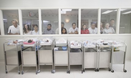 A new kind of 'Roe Effect' has appeared