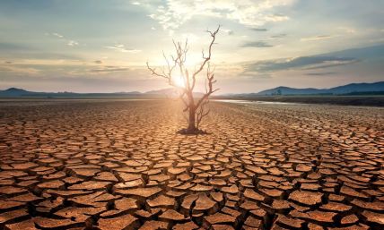 Environmental care is biblical. Prophets often tie damage to moral failure 