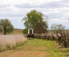 Travel: Postcard from Walla Walla