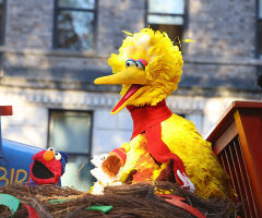 PBS kids' show Sesame Street continues sexual messaging with pride post