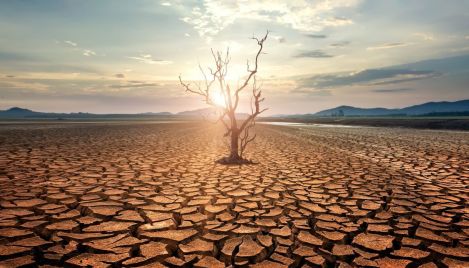 This summer heat wave isn't the apocalypse. A Christian case for calm.