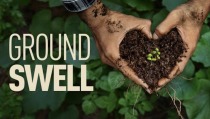 'Groundswell' regenerative rancher urges consumers to rethink where food comes from: doc