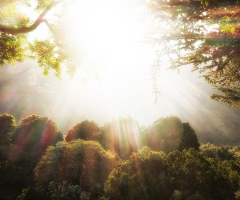 Where was the Garden of Eden?
