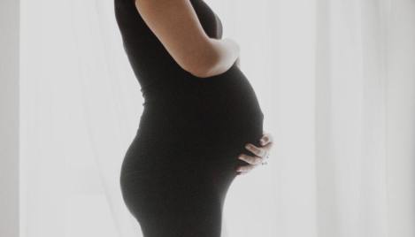 Surrogate mother who refused abortion makes emergency appeal to SCOTUS in custody dispute
