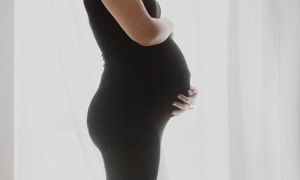 Surrogate mother who refused abortion makes emergency appeal to SCOTUS in custody dispute