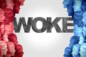 Charles Haywood and how 'no enemies to the right' shields the woke right