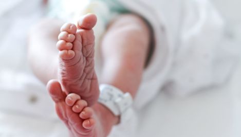 1-year-old euthanized under new rules in the Netherlands allowing termination for sick children