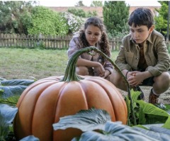 5 faith-filled, family-friendly movies streaming this fall