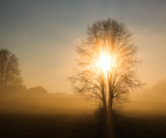 5 cautions before you trust a 'word from the Lord'